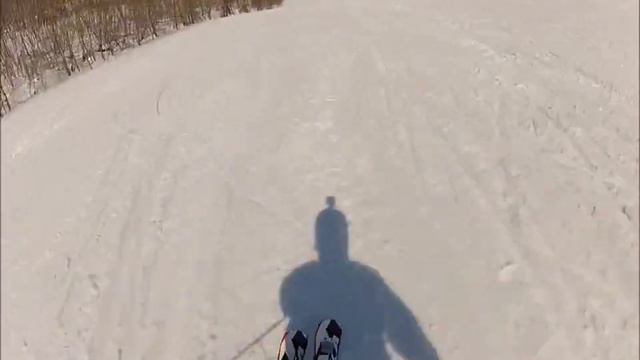 nordica dobermann ノルディカ　　spitfire ca スピドファイア　 2016モデル試乗動画レポート　コブ滑走有り смотреть онлайн