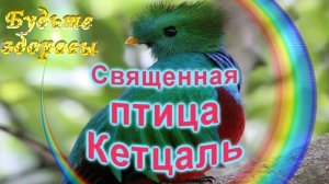 Священная птица Кетцаль