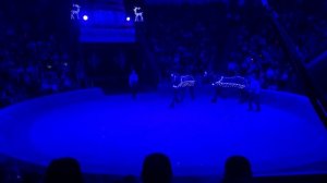 Цирк. Новогоднее представление