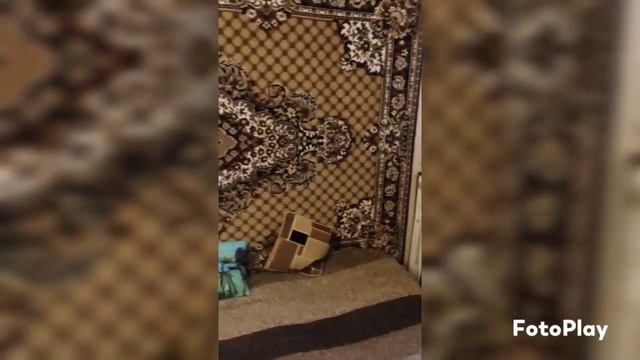 сдам квартиру посуточно Санкт-Петербург смотреть онлайн