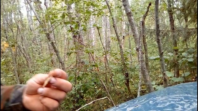 Про коп. с Vanquish 540 и Whites Spectrum XLT смотреть онлайн