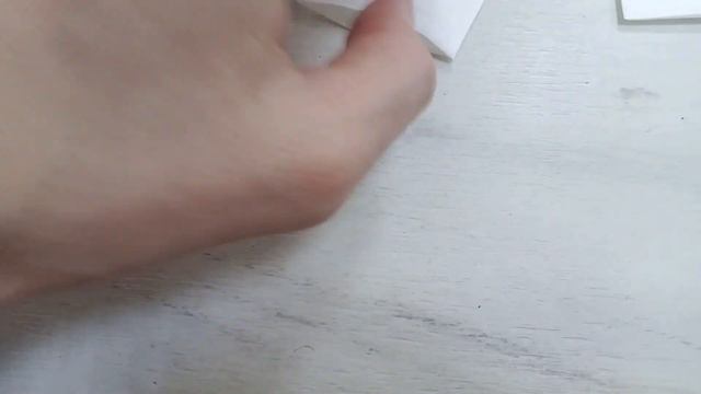 сколько семян пеларгонии  в пачке