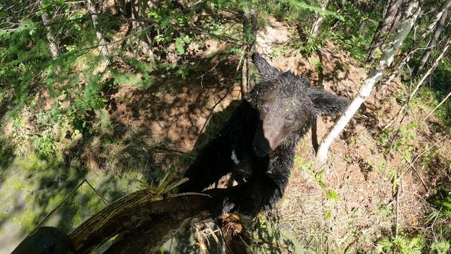 Новый больной эксперимент. смотреть онлайн