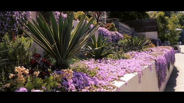 Самый дорогой район Лос-Анджелеса, и это не Beverly Hills! Манхэттен бич, Калифорния смотреть онлайн