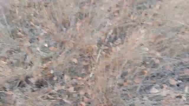 Стройка Современности