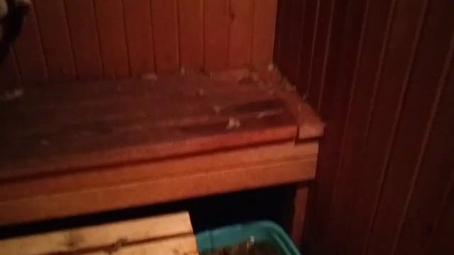 ФАЗЕНДА TV - паримся в бане правильно - сбор и проба березового сока - как сложить поленницу смотреть онлайн