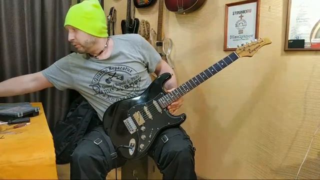 Kingston Вторая Жизнь - Ремонт гитар DEmelyanov