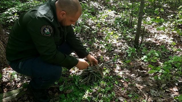 Добыча огня в лесу | самый быстрый и легкий способ смотреть онлайн