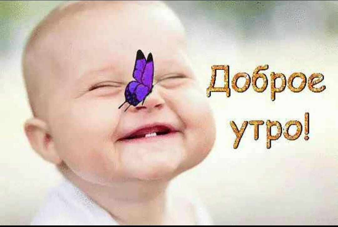 Доброе утро и отличного дня! Музыкальная открытка с тёплыми пожеланиями для хорошего настроения ☀️🌷