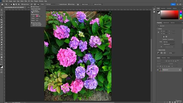6 How to Use the Object Selection Tool in Photoshop смотреть онлайн