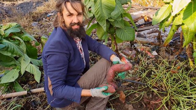 Зимняя Охота на корнеплоды с Димой Лучиком смотреть онлайн