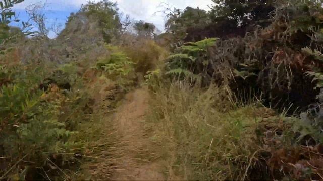 Virtual Run Bruny Island - Beach - Forest Trail 4K - Running Video - Virtual Scenery - Tasmania смотреть онлайн
