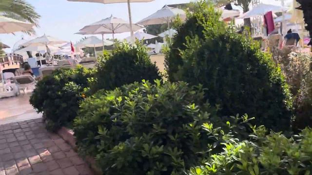 Обзор отеля Кватро/QUATTRO BEACH SPA & RESORT 5*. Алания. Канаклы. Туры в Турцию от Оксаны Шило.