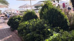 Обзор отеля Кватро/QUATTRO BEACH SPA & RESORT 5*. Алания. Канаклы. Туры в Турцию от Оксаны Шило.