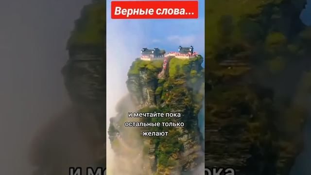 ВЕРНЫЕ СЛОВА... смотреть онлайн