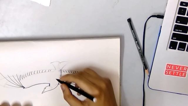 HOW TO DRAW A BIRD STEP BY STEP - FLYING BIRD - смотреть онлайн