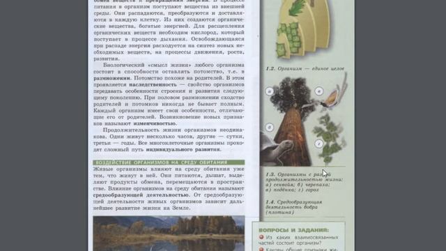 Биология (Л.Н.Сухорукова) 7к §1 Организм смотреть онлайн