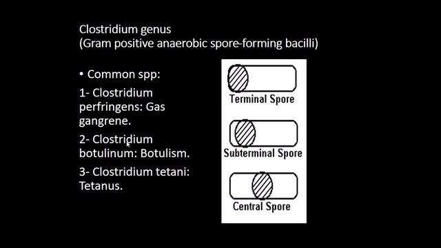 MSS Microbiology Lab Original Recording \ By Dr. Ziad Elnasser