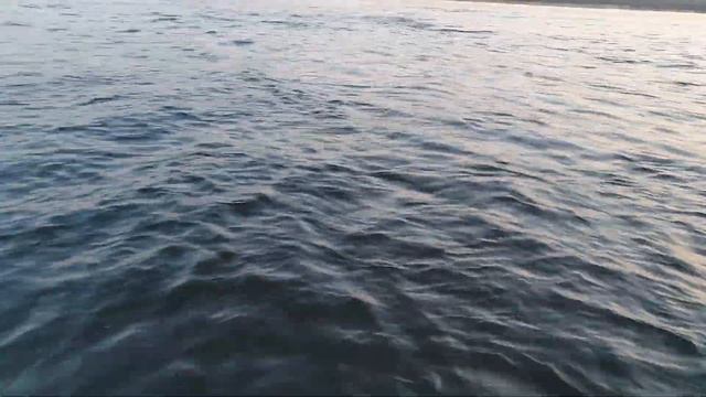 Окунь на бомбарду ( сбирулино) на Волге с лодки в Тольятти, рыбалка в октябре 2020 смотреть онлайн