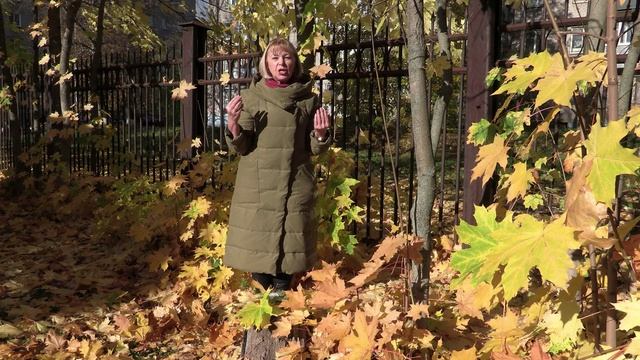 проект малыш эмилия павловна осенние прогулки.mp4 смотреть онлайн