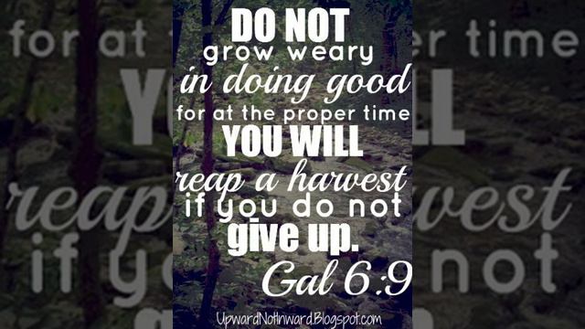 Yaxşılıq etməkdə davam edin. Продолжайте делать добро. Keep doing good. смотреть онлайн