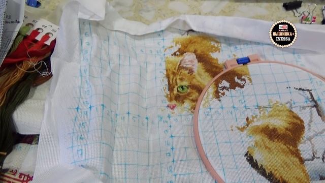 Мои процессы от фирмы "Золотое Руно" смотреть онлайн