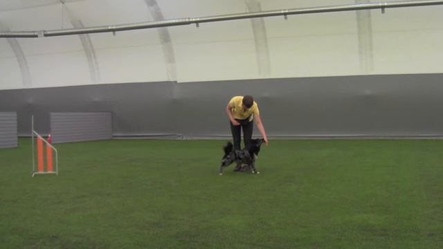 Валькович Ольга и Муди Палка смотреть онлайн