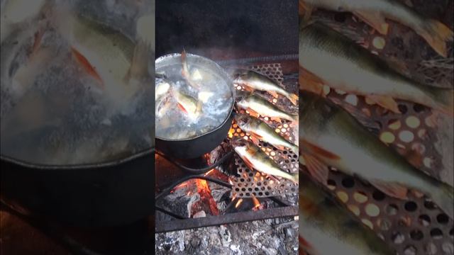 Уха варится, рыба без сковородки жарится.