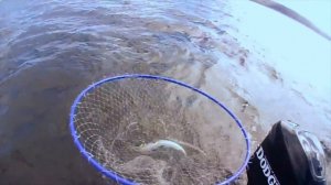 Выступление А. Питерцова и А. Волынкина. PAL 2016. I этап. II тур - PAL Action Movies