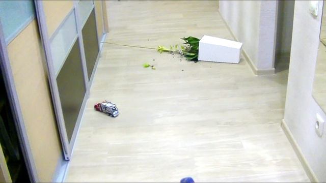 ЧТО ЗА НЯНЬКИ?!!??!!!! ВОТ ТАК ПРИСМОТРЕЛИ...... смотреть онлайн