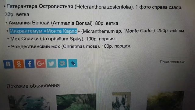 Покупка растений или как выгодно купить растения смотреть онлайн