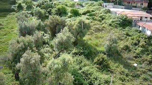 Вид с балкона (ЖК "ОСЛО", г. Влёра) смотреть онлайн