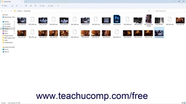 How to Process Camera Raw Files and Install Camera Raw in Adobe Photoshop Elements 2023: A Tutorial смотреть онлайн