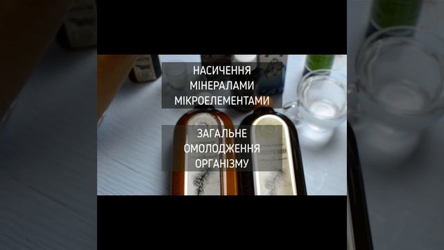 Програма ДЕТОКС