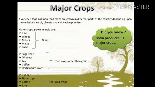 Geography lesson Agriculture Class 10 (Summary) смотреть онлайн