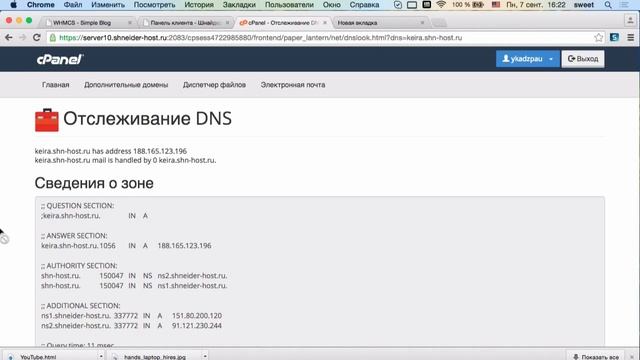 Проверка привязки доменного имени средствами cPanel смотреть онлайн
