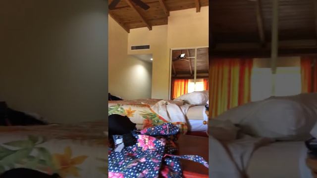 Отель Hotel Caribe Club Princess Punta-Cana room number 2323❤️ #АндрейНатаLove смотреть онлайн