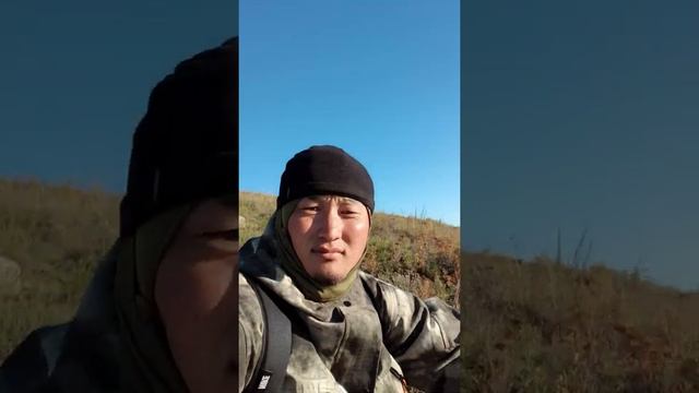 Сижу чаи пил отдыхаю #shortsvideo смотреть онлайн