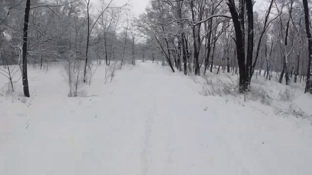 Обычный зимний день на мотоцикле ? смотреть онлайн