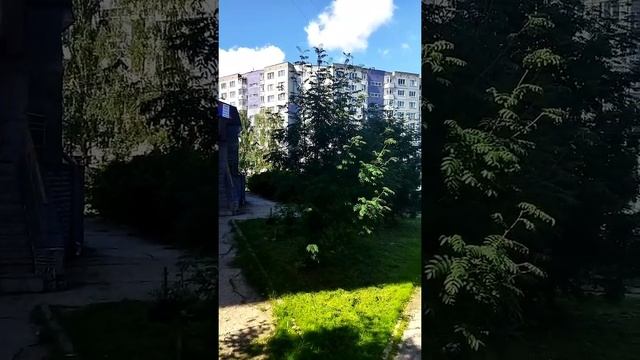 Киров второй.