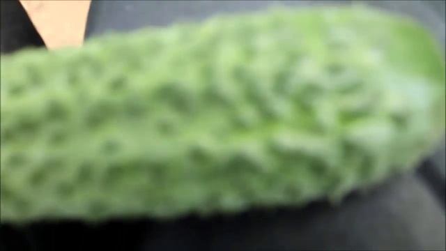 Огурец Бьерн f1 - самый лучший тепличный огурец смотреть онлайн