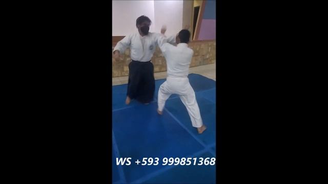 Clases de Aikido - Agosto 12-2020 смотреть онлайн