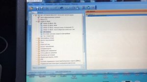 Ford Focus 2 активация круиз контроля