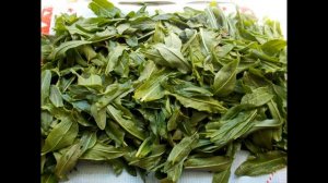 ЩАВЕЛЬ В БАНКИ НА ЗИМУ БЕЗ СТЕРИЛИЗАЦИИ. КАК ЗАКАТАТЬ ЩАВЕЛЬ НА ЗИМУ