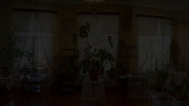 Дом-музей Ленина в Самаре. Как жил Владимир Ильич Ленин до революции смотреть онлайн