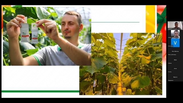 Влияние энтомофагов на распространение вирусных инфекций