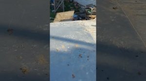 Промазываем эпоксидным клеем лодку. Казанку