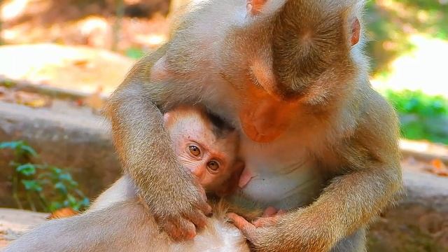 Mom Gives Warmth But Mom Gives Warmth...