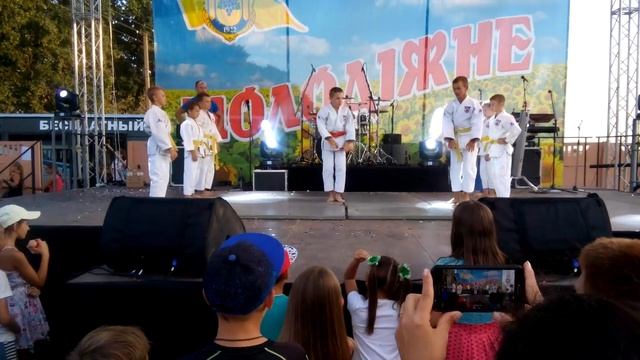 Показательное выступление дзюдоистов, с. Молодежное,Украина 23.08.2018 г смотреть онлайн