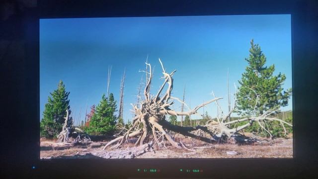 lX5090H откалиброванный в rec. 709 смотреть онлайн